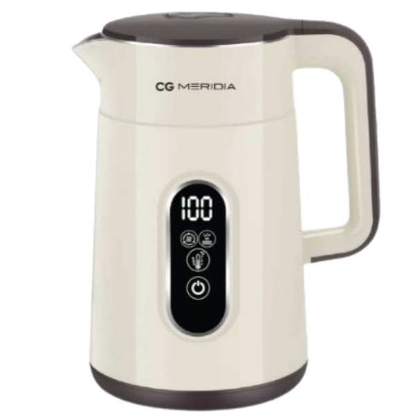 Electric kettle
