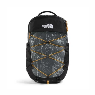 The North Face Borealis Backpack3