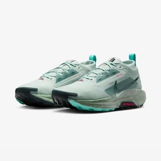 Nike Pegasus Trail 5 GORE-TEX M