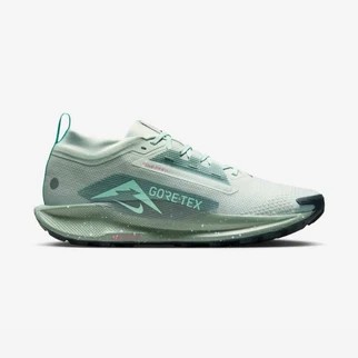 Nike Pegasus Trail 5 GORE-TEX M