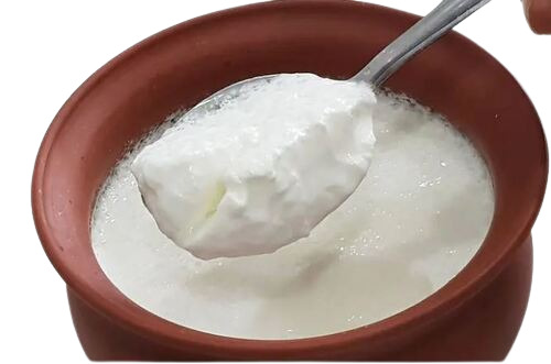 Yogurt