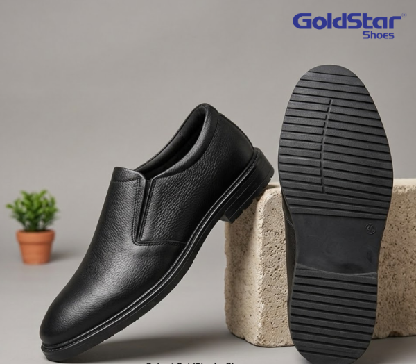 Goldstar Republic VE-2003 Genuine Leather Formal Slip-On Shoes for Men – Office & Party Wear