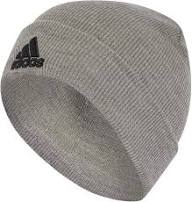 Adidas Logo Beanie