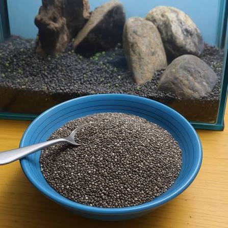Puja Chiya 1Kg